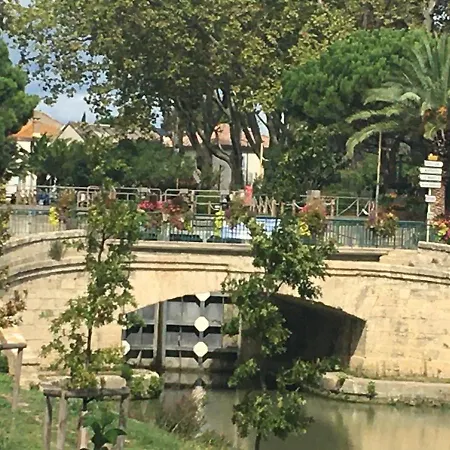 Indalogites * Salleles-d'Aude